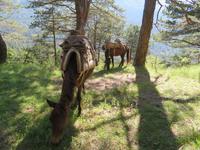 IMG_6356 &ndash; &copy; Sylvia Sann (Eberhardt TRAVEL)