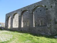 IMG_6504