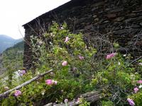 &copy; Cornelia Ritter (Eberhardt TRAVEL)