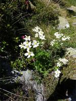 &copy; Cornelia Ritter (Eberhardt TRAVEL)