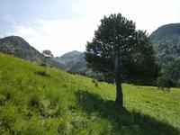 &copy; Cornelia Ritter (Eberhardt TRAVEL)