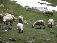 Plateau - Alberg de Núria &ndash; &copy; Betina Marinow (Eberhardt TRAVEL)