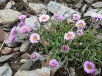 Botanischer Garten &ndash; &copy; Betina Marinow (Eberhardt TRAVEL)