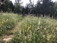 durch das Gebiet der Kräuterhexen &ndash; &copy; Sabine C. Seifert (Eberhardt TRAVEL)