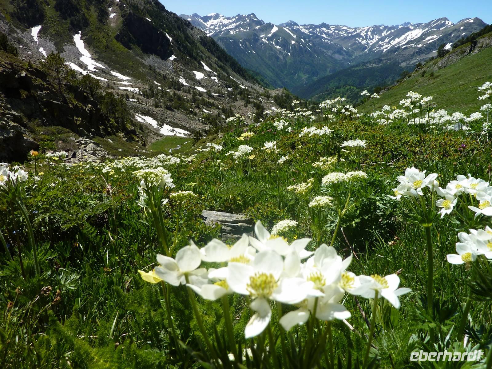 P1100828 &ndash; &copy; Cornelia Ritter (Eberhardt TRAVEL)