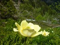 P1100638 &ndash; &copy; Cornelia Ritter (Eberhardt TRAVEL)