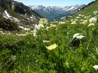 P1100829 &ndash; &copy; Cornelia Ritter (Eberhardt TRAVEL)