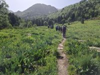hier sonniger Abschnitt des Wanderweges