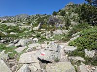 unser markierter Wanderweg nach oben