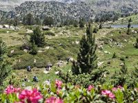 Rast einer anderen Wandergruppe