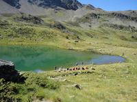 Estanysee &ndash; &copy; Ivonne Lischke (Eberhardt TRAVEL)