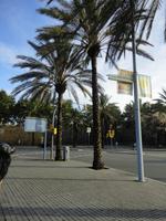 Barcelona &ndash; &copy; Ivonne Lischke (Eberhardt TRAVEL)