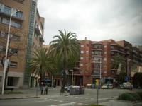 DSCI0389