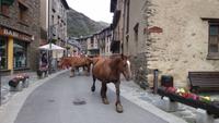 Bergdorf Ordino &ndash; &copy; Jacob Spangenberg (Eberhardt TRAVEL)