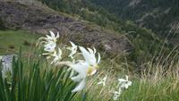 Wanderung - Vall de Riu