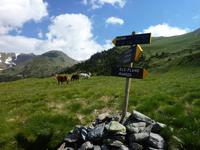 wegweisend &ndash; &copy; Cornelia Ritter (Eberhardt TRAVEL)