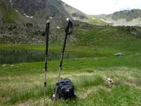 wem sind die wohl.. &ndash; &copy; Cornelia Ritter (Eberhardt TRAVEL)