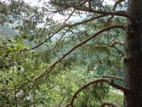 Durchblicke &ndash; &copy; Cornelia Ritter (Eberhardt TRAVEL)