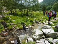 eine Erfrischung für Duna &ndash; &copy; Cornelia Ritter (Eberhardt TRAVEL)