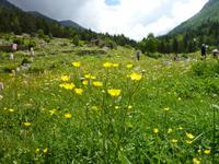 auch schön.. &ndash; &copy; Cornelia Ritter (Eberhardt TRAVEL)