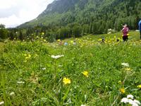 .. &ndash; &copy; Cornelia Ritter (Eberhardt TRAVEL)
