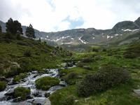 Bergwiesen &ndash; &copy; Cornelia Ritter (Eberhardt TRAVEL)