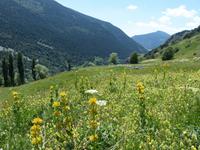 023. Vall de Riu