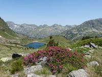 103. Vall d'Incles &ndash; &copy; Maria Michel (Eberhardt TRAVEL)