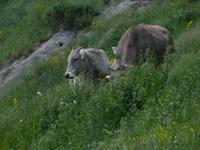 113. unterwegs &ndash; &copy; Maria Michel (Eberhardt TRAVEL)
