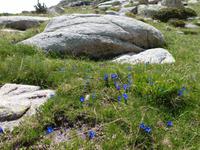 140. Grau Roig- els pessons &ndash; &copy; Maria Michel (Eberhardt TRAVEL)