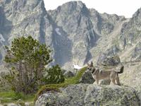 141. Grau Roig- els pessons &ndash; &copy; Maria Michel (Eberhardt TRAVEL)
