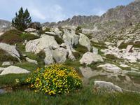 152. Grau Roig- els pessons &ndash; &copy; Maria Michel (Eberhardt TRAVEL)