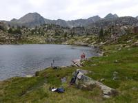 168. Grau Roig- els pessons