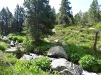 176. Estanys d'Ensagents &ndash; &copy; Maria Michel (Eberhardt TRAVEL)