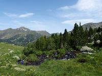216. Vall de Sorteny &ndash; &copy; Maria Michel (Eberhardt TRAVEL)