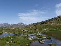 221. Vall de Sorteny - Estany de l'Estanyo &ndash; &copy; Maria Michel (Eberhardt TRAVEL)