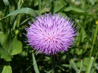 Globula &ndash; &copy; Maria Michel (Eberhardt TRAVEL)