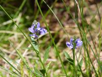 Veronica &ndash; &copy; Maria Michel (Eberhardt TRAVEL)