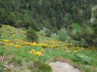 Vall del Riu &ndash; &copy; Stefan Börner (Eberhardt TRAVEL)