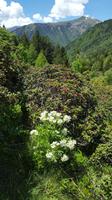 Sorteny National Park &ndash; &copy; Betina Marinov (Eberhardt TRAVEL)