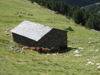 IMG_8785  Schutzhütte &ndash; &copy; Kerstin Veit (Eberhardt TRAVEL)
