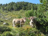 IMG 3074 &ndash; &copy; Anna Stiebing (Eberhardt TRAVEL)