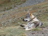 IMG 3095 &ndash; &copy; Anna Stiebing (Eberhardt TRAVEL)