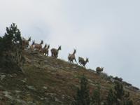 IMG 3106 &ndash; &copy; Anna Stiebing (Eberhardt TRAVEL)