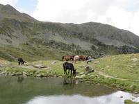 IMG 3150 &ndash; &copy; Anna Stiebing (Eberhardt TRAVEL)
