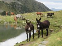 IMG 3159 &ndash; &copy; Anna Stiebing (Eberhardt TRAVEL)