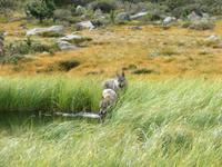 IMG 3261 &ndash; &copy; Anna Stiebing (Eberhardt TRAVEL)