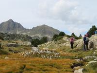 IMG 3308 &ndash; &copy; Anna Stiebing (Eberhardt TRAVEL)