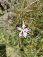 IMG_20190902_144536