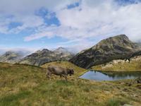 Siscaro &ndash; &copy; Isabel Zwanzig (Eberhardt TRAVEL)